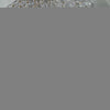 0001 (Short) Swarovski Faceted Rondelle Beaded Chocker, Clear