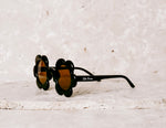 Daisy, Liquorice